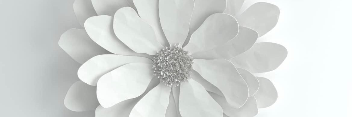 Liam Christopher Walker banner