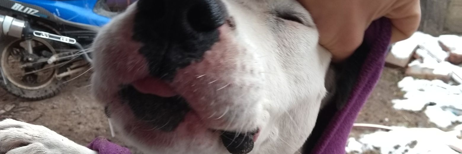 JaraLujann2's profile banner image