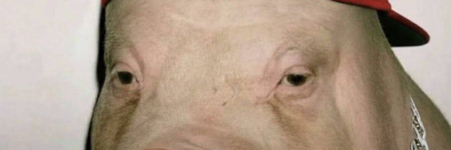 Biologis Tech Priest Meat banner