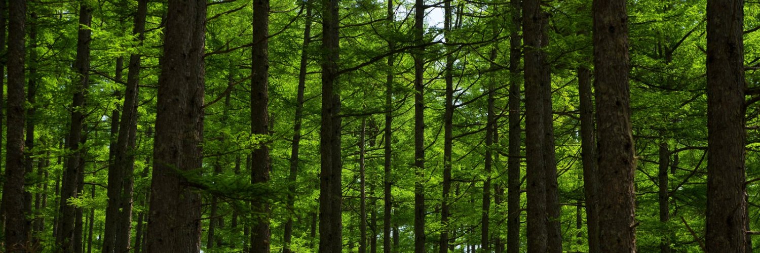 momonga banner