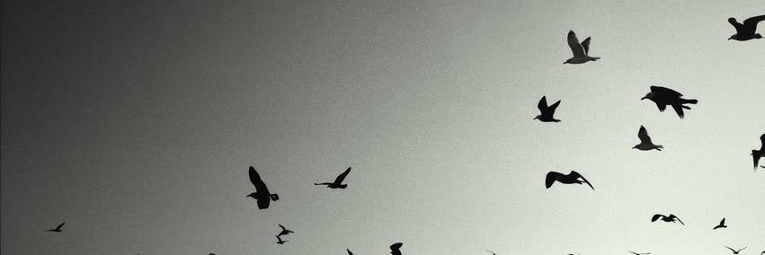 mahmut9219's profile banner image