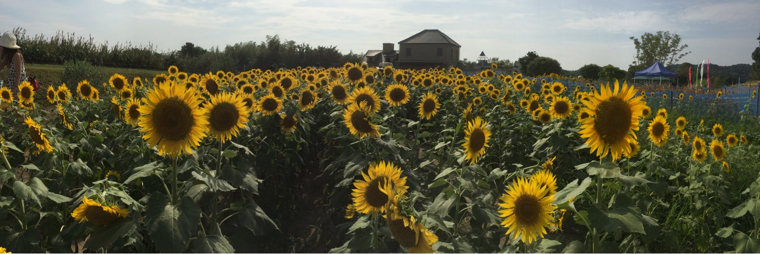 flowersun0522's profile banner image