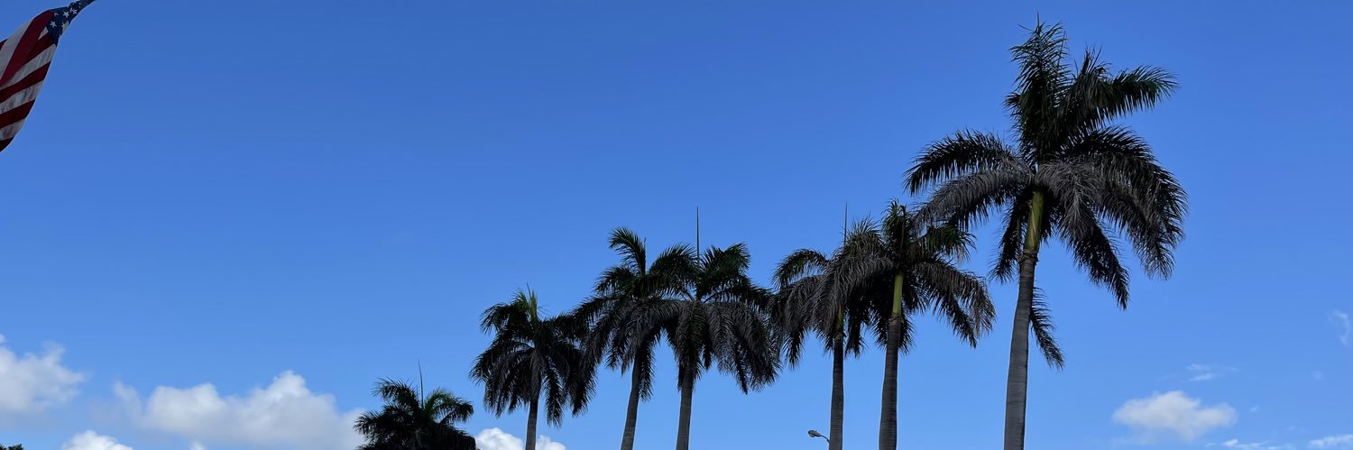 Elrick Erikose 🔺 banner