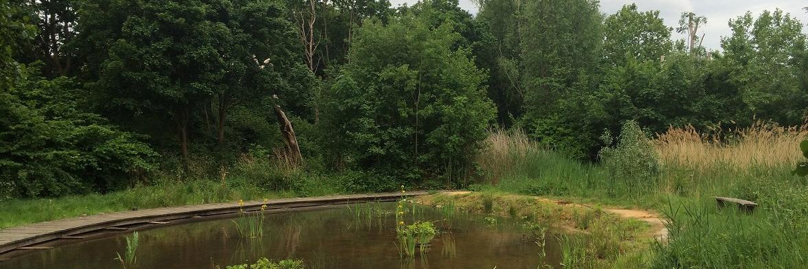 Lavender Pond Nature Reserve banner
