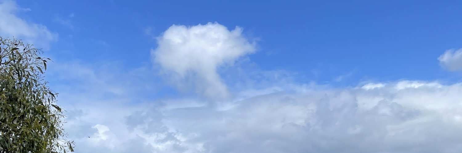 Craig Pty Ltd banner