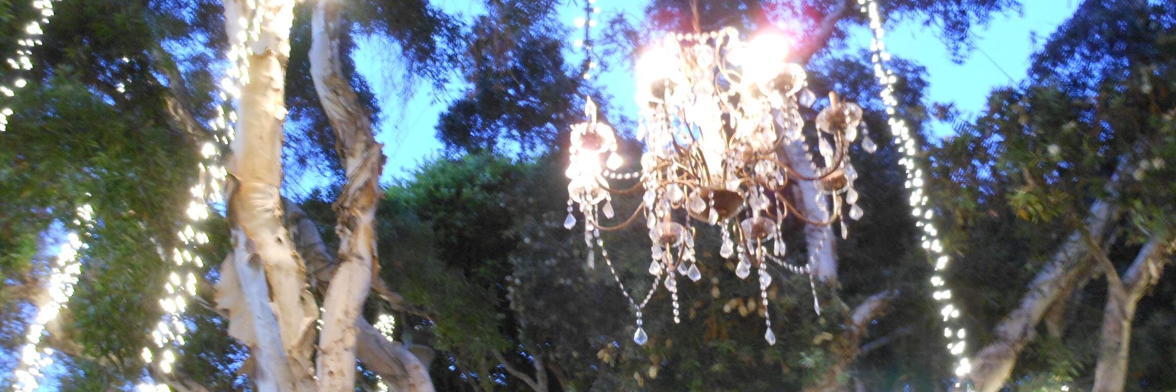 LauraAnneRiley's profile banner image