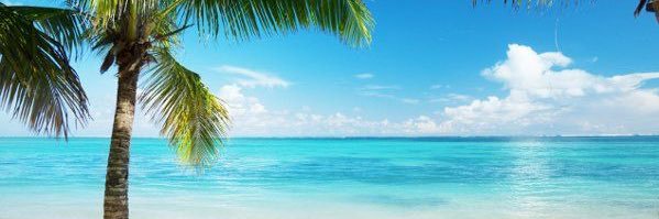 Dr. Karen Lancendorfer banner