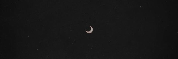 ale banner