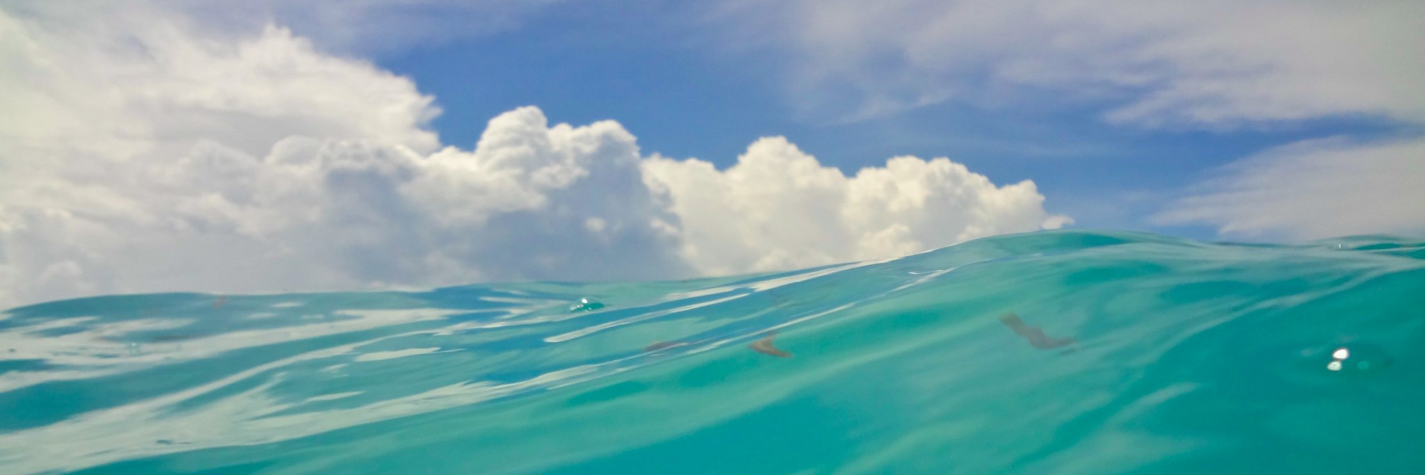 michellengaire's profile banner image