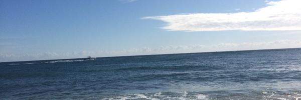 ECook1225 Profile Banner