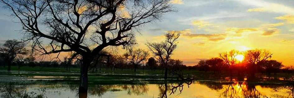Pakisbaali's profile banner image
