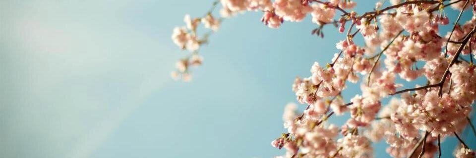rturoKhora's profile banner image