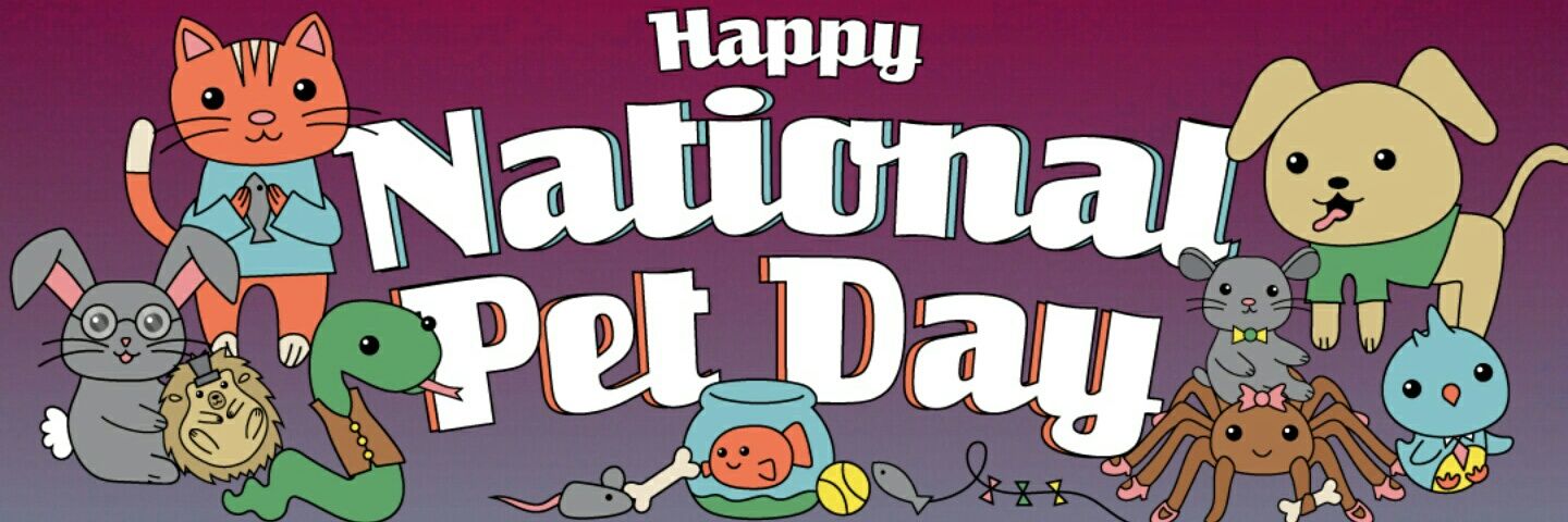 Foxxy Wolf Aka Foxx Dawg banner