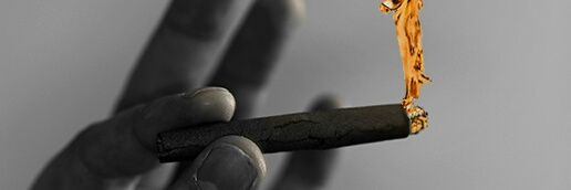 The_Bushiest's profile banner image