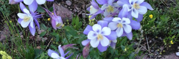 leannaharris22 Profile Banner