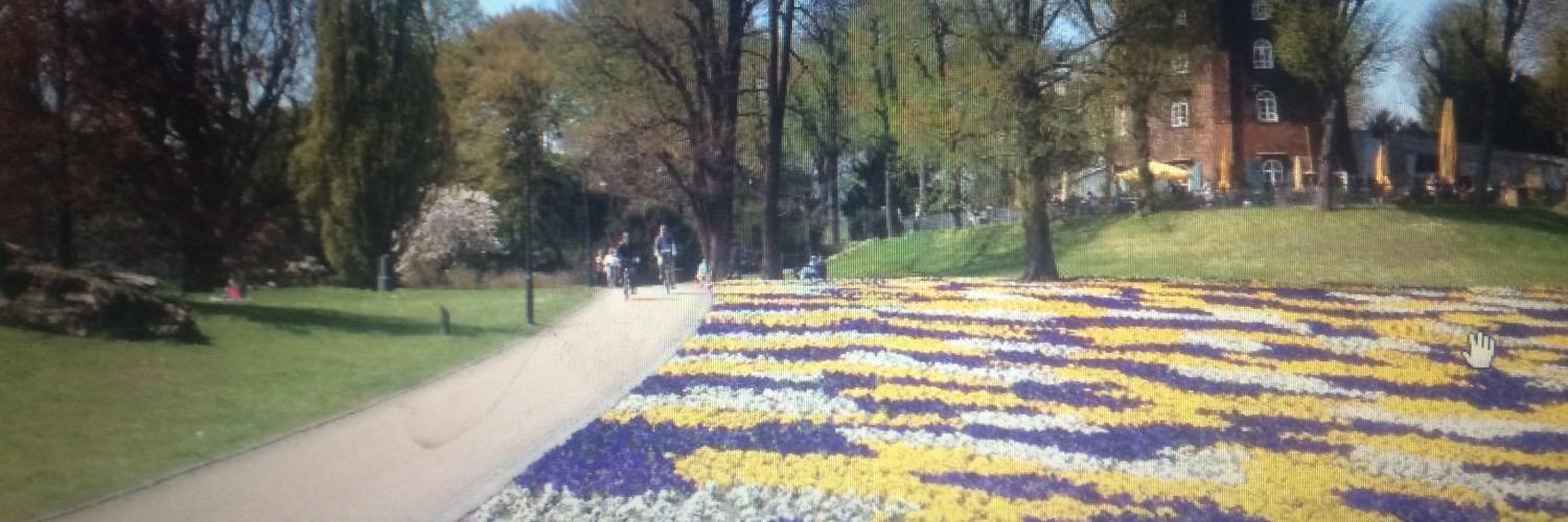 ahmed ✋🏻🌹 banner