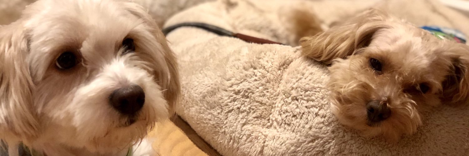 MissRubyy's profile banner image