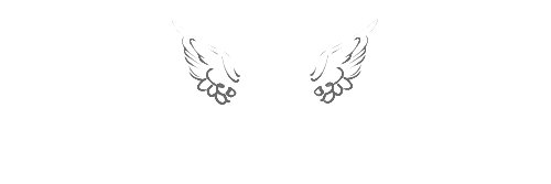 ☼ banner