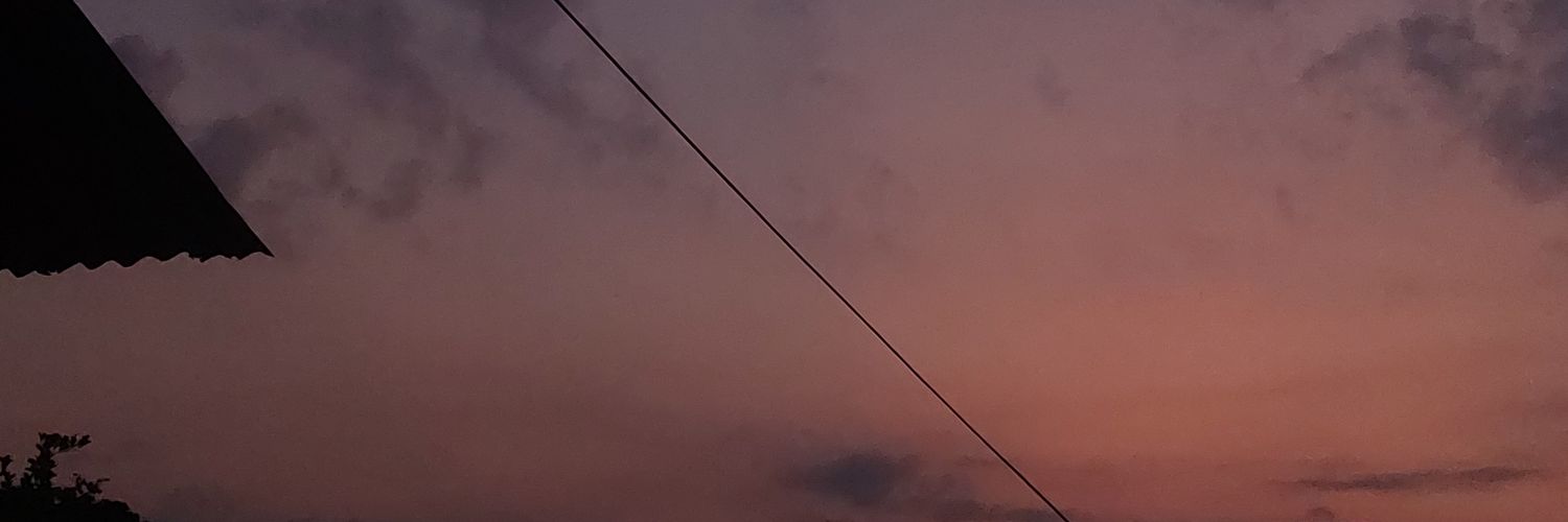 FranQ_HCM's profile banner image