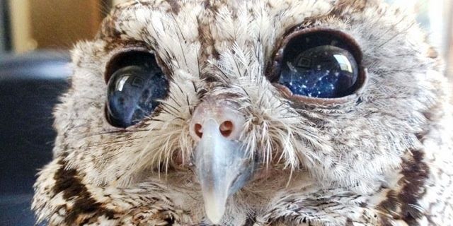 palanhaneul's profile banner image