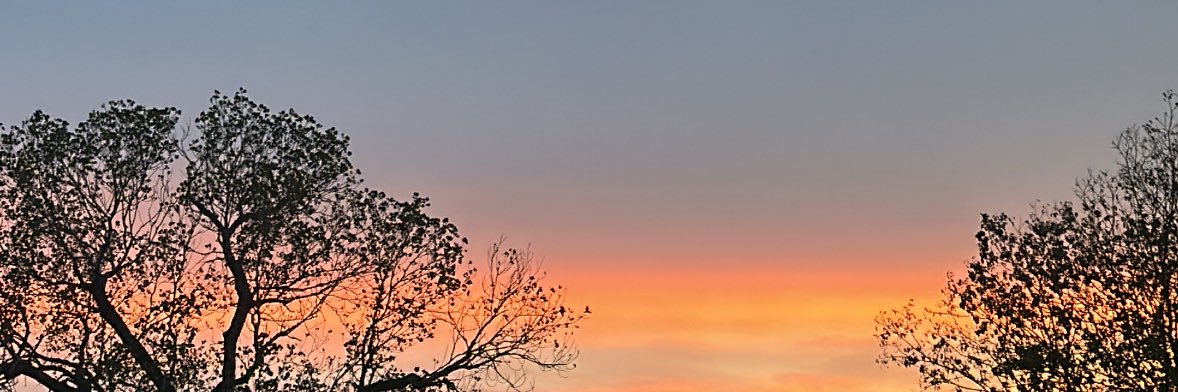 Fgissellerod's profile banner image