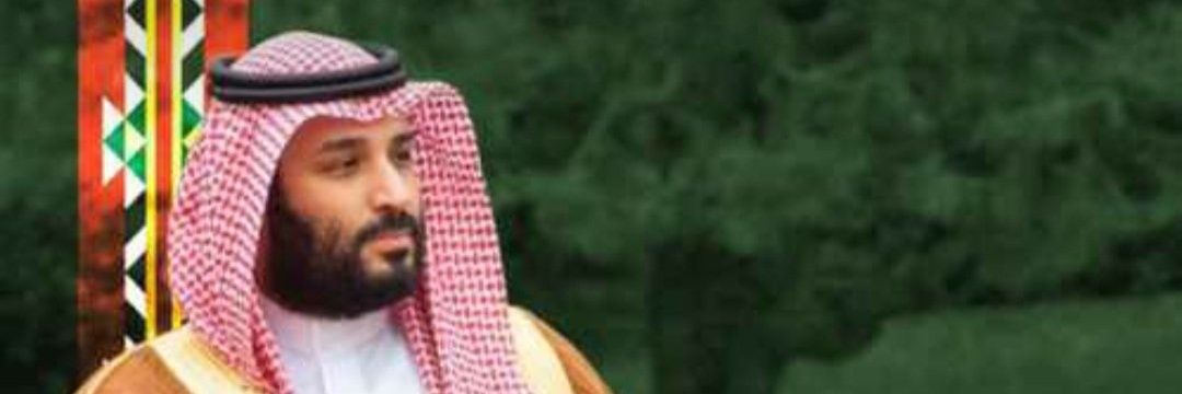 salsobhi2020's profile banner image