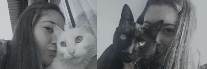 cmchrd's profile banner image