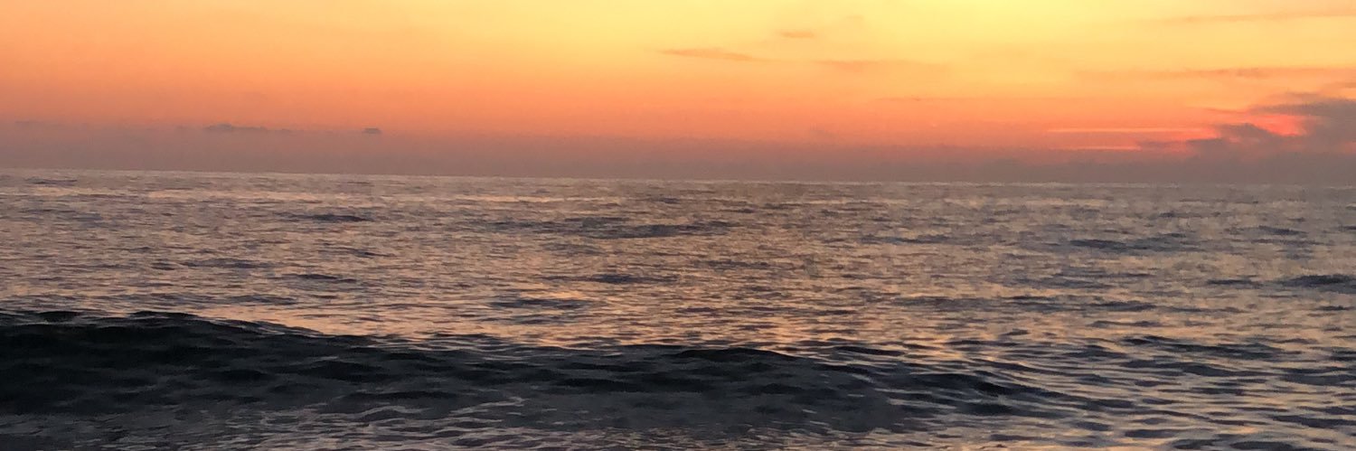 lauptla's profile banner image