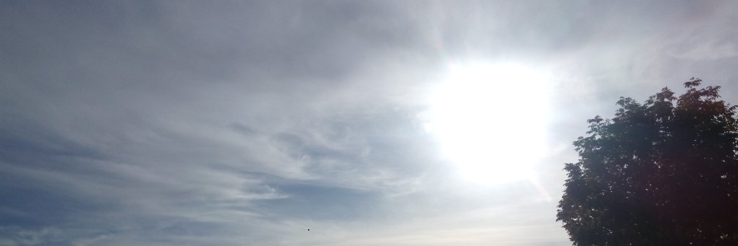 dlMCabello's profile banner image