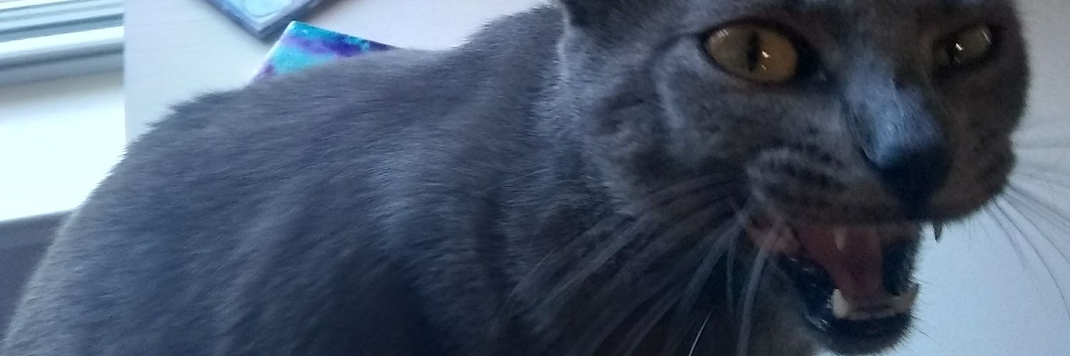 SarahShano's profile banner image