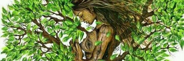 lamonabrava's profile banner image