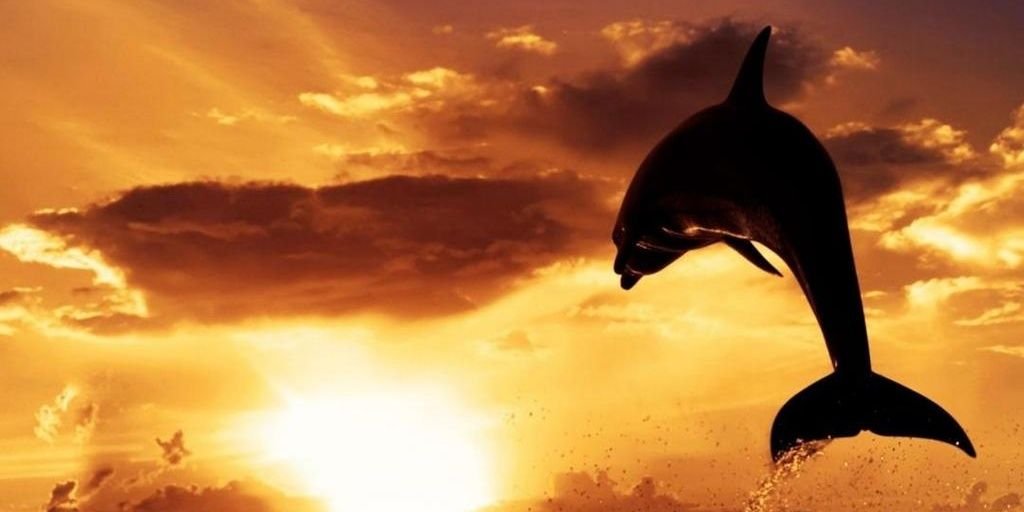 piliquigr76's profile banner image