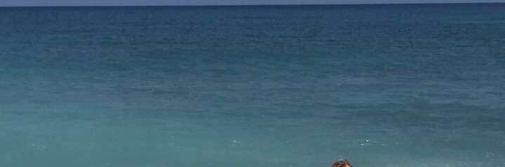 SBrown_88's profile banner image