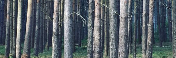 PrettySolitaire Profile Banner