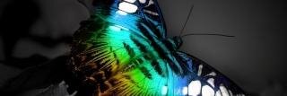 katleen_radja's profile banner image