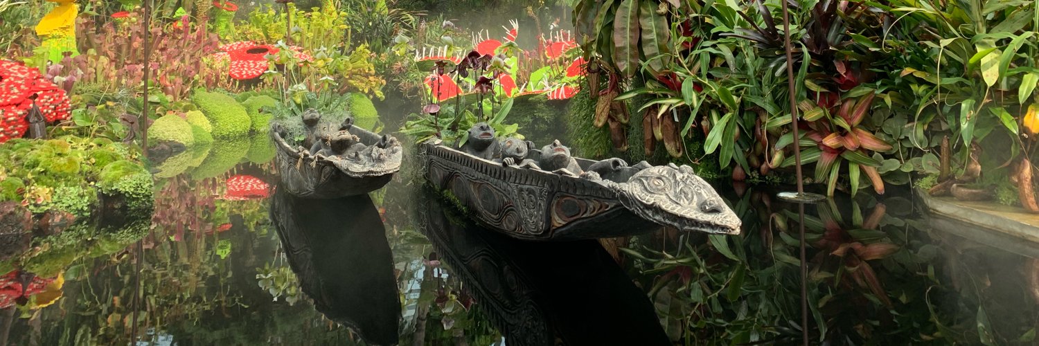 sfunccc's profile banner image