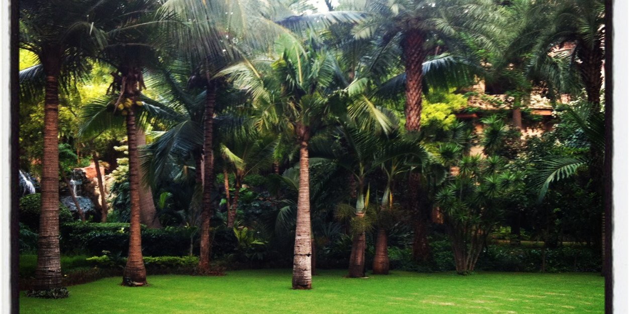 rohitagarwalla's profile banner image