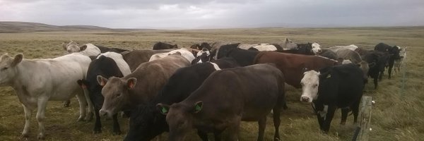 ben_benebf Profile Banner