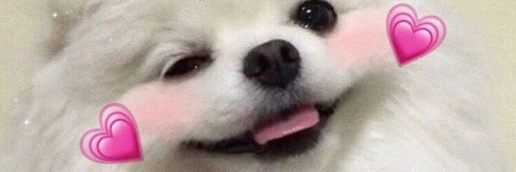 perthkrtys's profile banner image