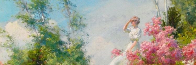 meshoy banner