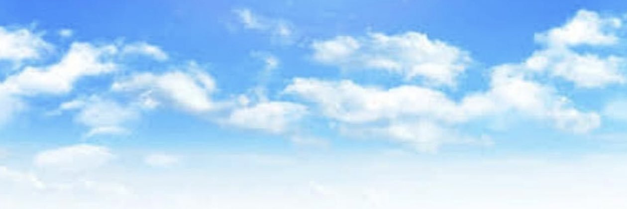 Leona Lewis's banner