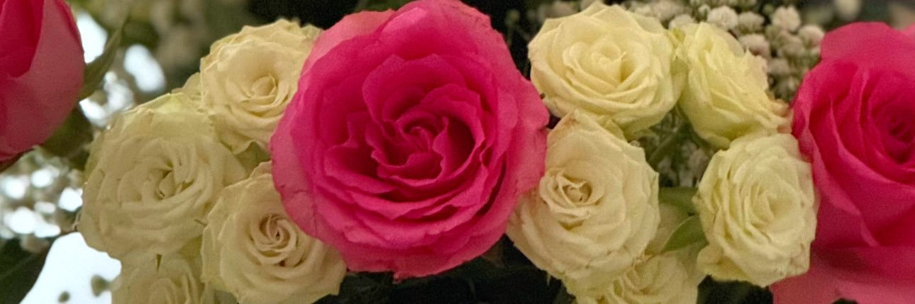 lisaneilharris's profile banner image