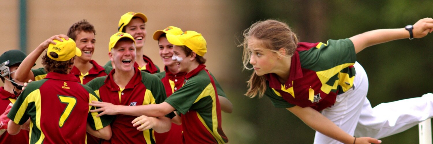 Inner East Emus banner