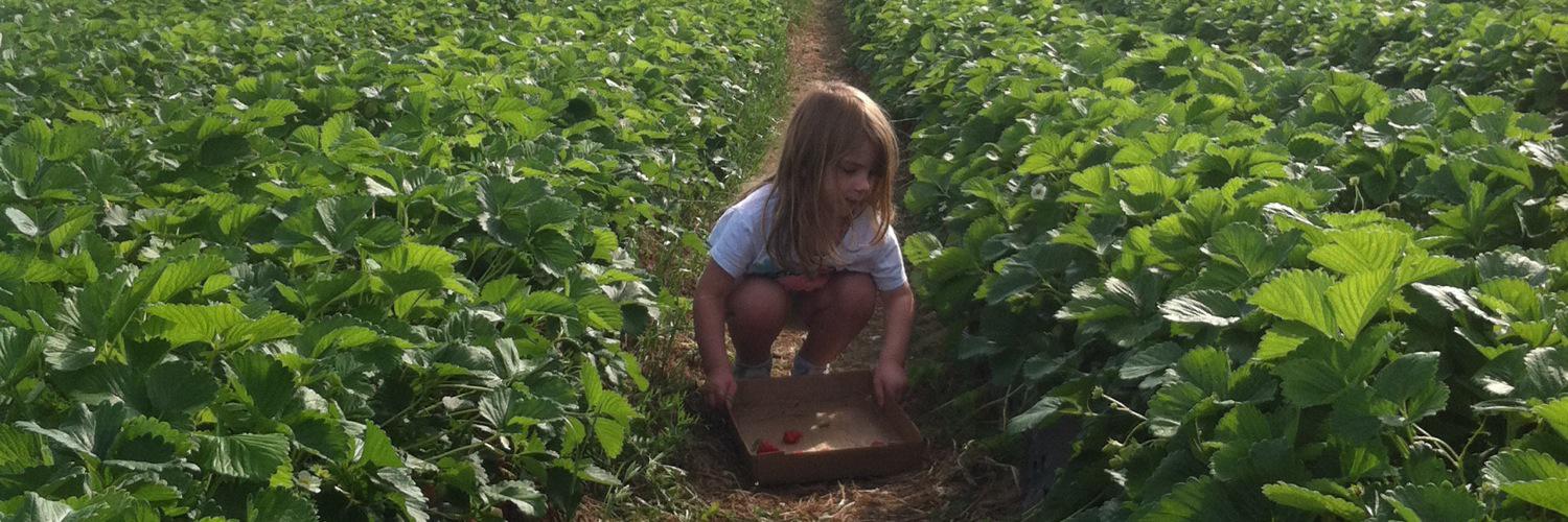 Heather Schultz banner