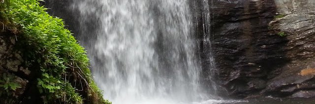 Stephen Ficklin banner