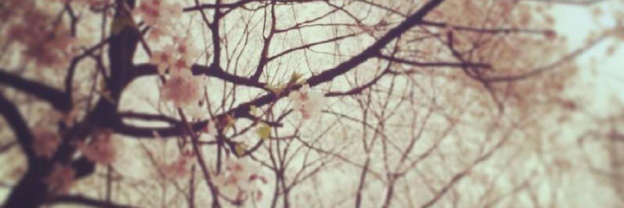 elisagarpe's profile banner image