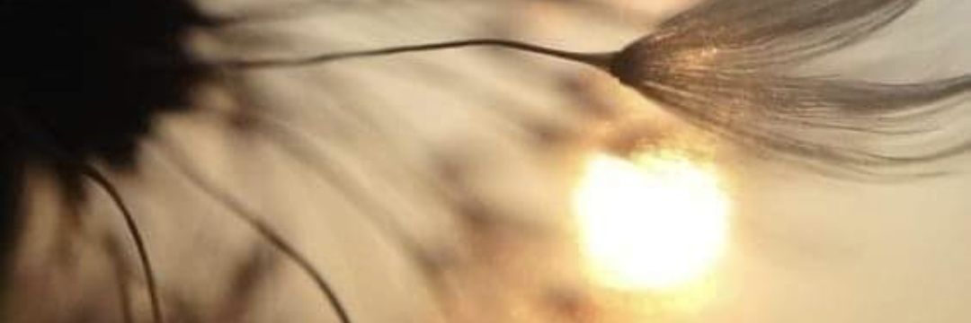 hisko66's profile banner image