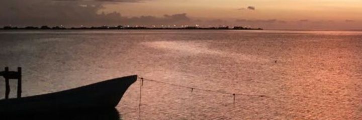 Felipe_Guzman_A's profile banner image