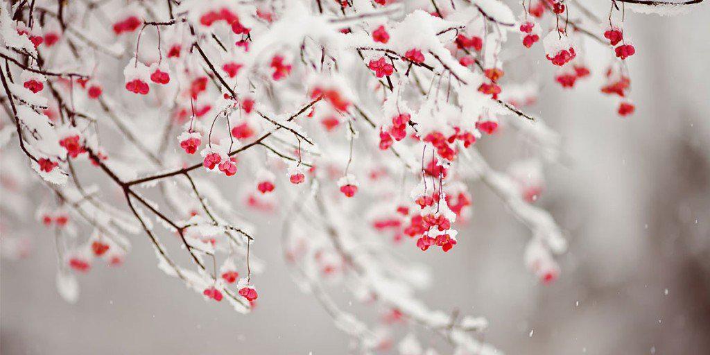 Isa_Anzano's profile banner image