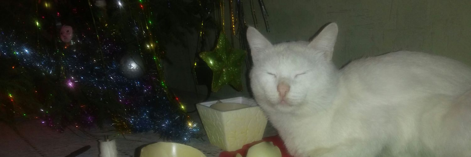 анатоль banner
